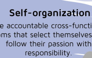 self-organization