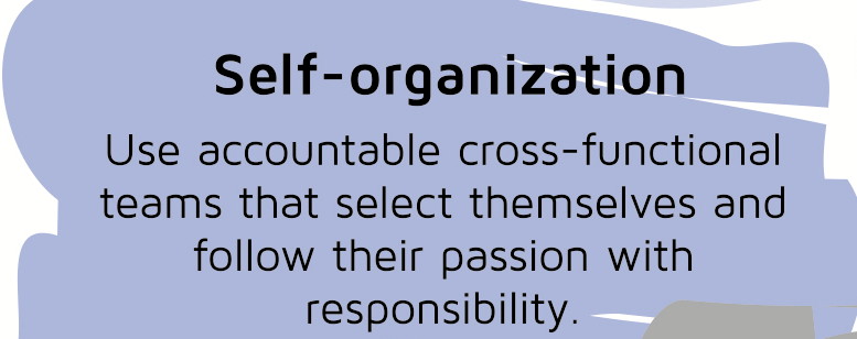 self-organization